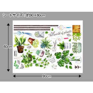 当日発送ウォールステッカー 植物柄 1枚 全2...の詳細画像4