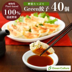 野菜餃子 Green 餃子 ヘルシー 菜食 国産野菜 業務用 40個 プラントベース 大豆ミート 植物肉 ヴィーガン ベジタリアン ぎょうざの商品画像