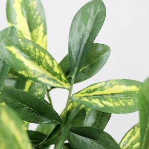 人工観葉植物 光触媒 シェフレラポット 30c...の詳細画像2