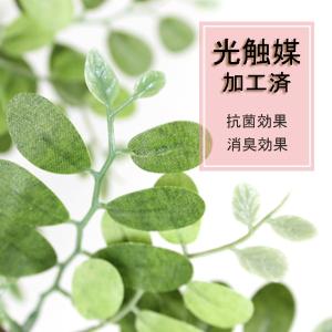 人工観葉植物 光触媒 シェフレラポット 30c...の詳細画像5