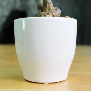人工観葉植物 光触媒 シェフレラポット 30c...の詳細画像3