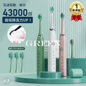 電動歯ブラシ 替えブラシ3本付き 防水 人気 USB 充電式 30日間使用可能 音波振動歯ブラシ 口臭対策 音波式 虫歯予防 使いやすい IPX7 柔らかい 静音