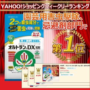 殺虫剤 オルトランDX 粒剤 1kg 袋入 住友...の商品画像