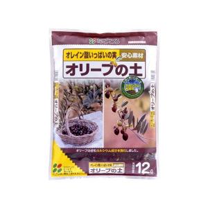 オリーブの土の商品一覧 通販 Yahoo ショッピング