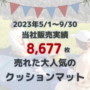 プールマット 厚手 プール マット 折りたたみ...の詳細画像2