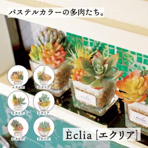 キシマ（KISHIMA） フェイクグリーン Eclia エクリア 観葉植物 CT触媒