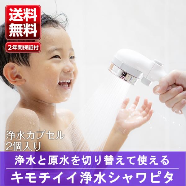 シャワーヘッド シャワー キモチイイ浄水シャワピタ JSB222 節水 手元止水 塩素除去 浄水 浄...