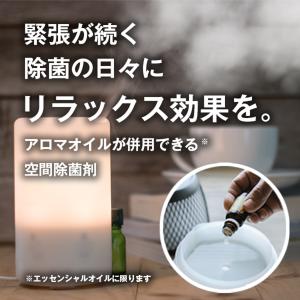 ナチュラル銀イオン水 加湿器用 濃縮タイプ 安...の詳細画像2