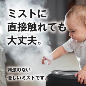 ナチュラル銀イオン水 加湿器用 濃縮タイプ 安...の詳細画像3