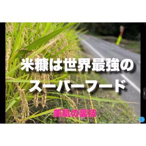 代謝栄養素 米ぬか 世界最強のスーパーフード ...の詳細画像2