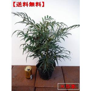 marimekko（マリメッコ） ベース 花瓶 Unikko ウニッコ ホワイト 73034