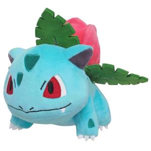 【激レア】ポケモン カイリュードール　ぬいぐるみ　ポケモンセンターオリジナル Amazon.co.jp: ポケモンセンターオリジナル ぬいぐるみ Pokémon fit