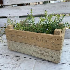 ショワズィールワイドS  ベージュ穴ありプランター