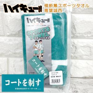 ハイキュー スポーツタオル 横断幕 青葉城西 コートを制す 34cm 80cm フェイスタオル 雑貨 グッズ キャラクター アニメ 漫画 映画 最安値 価格比較 Yahoo ショッピング 口コミ 評判からも探せる
