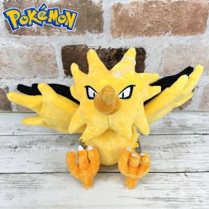 ポケットモンスター ポケモンぬいぐるみ メガカイリュー : ユウセイ堂2