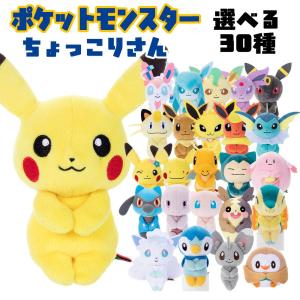 Pokemon（ポケモン） ポケモンセンターオリジナル ぬいぐるみ へんしん