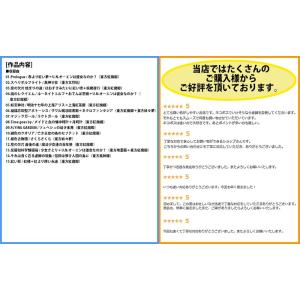 [東方ProjectCD]東方バイオリンロック...の詳細画像1