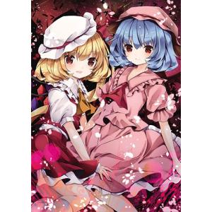 東方projectクリアファイル すなめりドリル クリアファイル ルーミア