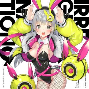 IRREGULAR NATION 9　-HARDCORE TANO*C-