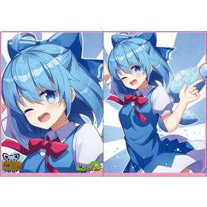 東方クリアファイル チルノ＆大妖精1 -AbsoluteZero- : グレップ