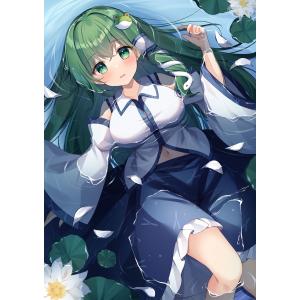 笹井さじ イラスト集 画集 Sugar Soil 購入特典 クリアファイル