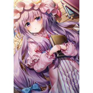 東方projectクリアファイル すなめりドリル クリアファイル