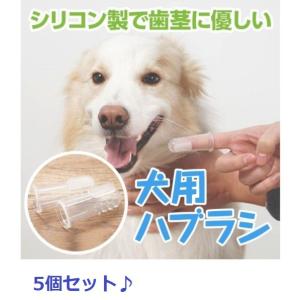 犬　歯ブラシ　歯磨き  5個セット｜grepo-yafuu-store