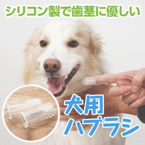 犬 歯ブラシ 歯磨き ハブラシ シリコン 犬用 歯ブラシ