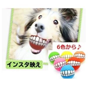 犬 おもちゃ ボール 音 壊れない 面白い 写真映え｜grepo-yafuu-store