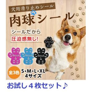 犬 滑り止め 肉球 シール 靴下 24枚 フローリング 足パット 滑らない 肉球保護 フットパット 犬用 ペット 老犬 小型 中型 大型 お試し Suberidome 24 Grepoヤフー店 通販 Yahoo ショッピング