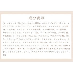 ノンシリコン オイル シャンプー パウチ お試...の詳細画像4