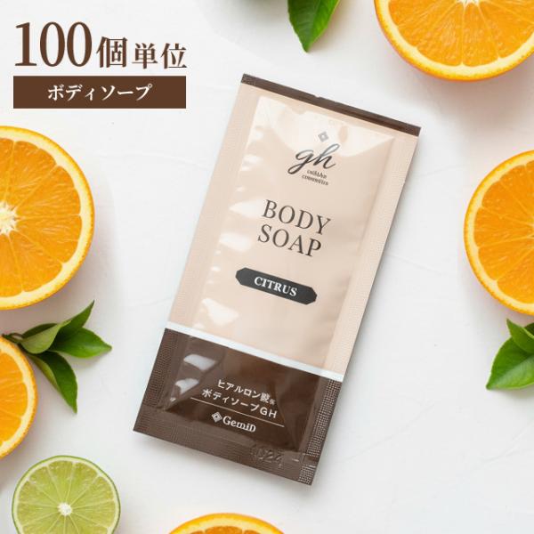 ボディソープ パウチ 100個単位 ホテルアメニティ 旅行用 業務用 トラベル GemiD×HE ゼ...