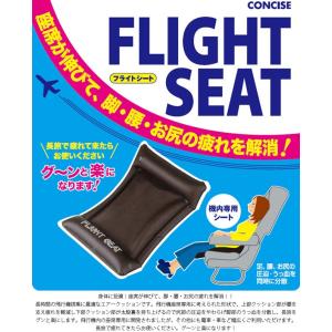 フライトシート コンサイス 日本製 機内専用シ...の詳細画像1
