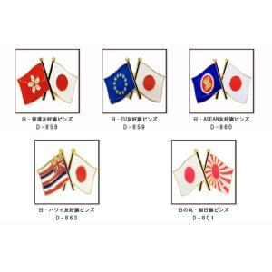 日本と各国の友好旗ピンズ D-838〜842・...の詳細画像2