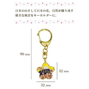 キーホルダー バッグチャーム 富士に桜 さくら...の詳細画像1