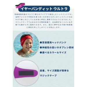 「レビュー記入でメール便送料無料」EAR BA...の詳細画像2