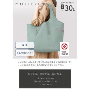 クーラービッグマルシェバッグ エコバッグ 折り...の詳細画像1