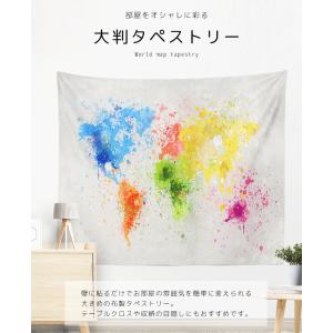 「レビュー記入でメール便送料無料」大判 タペス...の詳細画像1