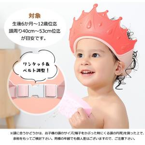 「レビュー記入でメール便送料無料」シャンプーハ...の詳細画像5
