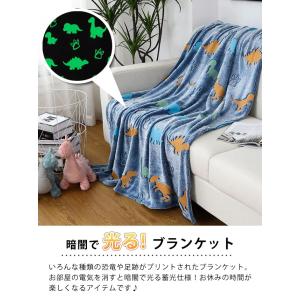 恐竜 ブランケット 光る 蓄光 ひざ掛け 毛布 お昼寝 大判 157×123cm