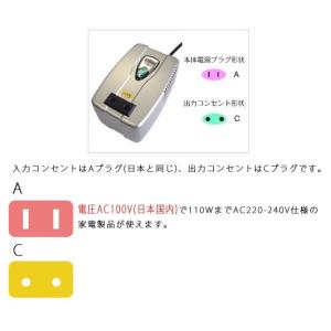 カシムラ 変圧器 アップトランス NTI-13...の詳細画像2