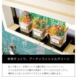 フェイクグリーン 卓上 置き型 消臭 Sサイズ...の詳細画像1