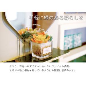 フェイクグリーン 卓上 置き型 消臭 Sサイズ...の詳細画像2