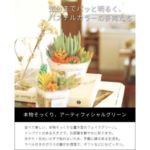 フェイクグリーン 卓上 置き型 消臭 抗菌 観...の詳細画像1