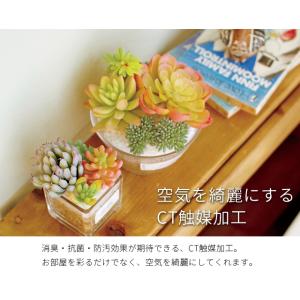 フェイクグリーン 卓上 置き型 消臭 抗菌 観...の詳細画像2