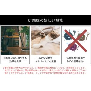 フェイクグリーン 卓上 置き型 消臭 抗菌 観...の詳細画像3