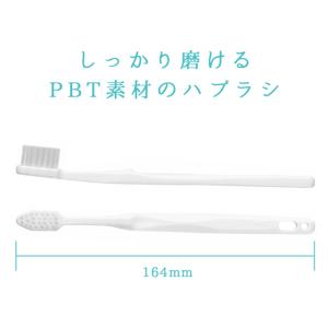 使い捨て ハブラシ 歯磨き粉付き ブロッサムシ...の詳細画像1