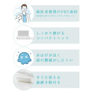 使い捨て ハブラシ 歯磨き粉付き ブロッサムシ...の詳細画像2