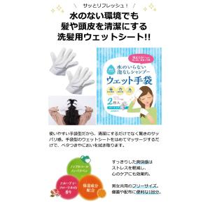 日本製 水のいらない 泡なし シャンプー ウェ...の詳細画像1