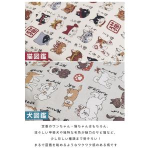 がま口 2WAY スマホショルダー 猫 日本犬...の詳細画像2
